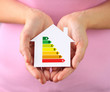 Paper house with energy efficiency chart