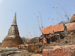 Stupa at Wat Mahathat temple in Ayutthaya, Thailand