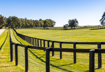 Wall Mural - Double fence at horse farm.