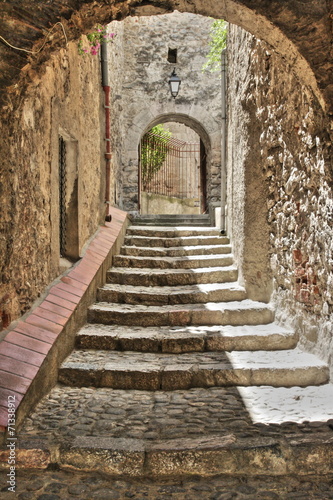 Fototapeta na wymiar Escalier,Villefranches-de-conflent