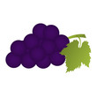 Purple grape