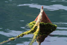 Old Red Buoy Covered With Algae In The Sea Close-up