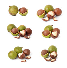 Canvas Print - macadamia nuts on white background