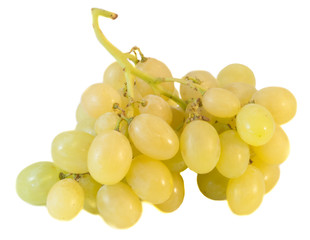 white grapes