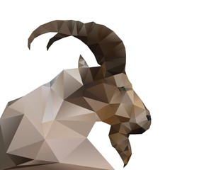 Wall Mural - Abstract goat isolated on a white backgrounds.