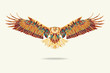 geometric eagle abstract colour eps 10 vector