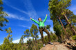 © Maridav - Hiking woman reaching summit cheering in forest