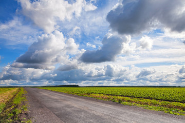 Canvas Print - Empty asphalt country road with dramatic cloudy sky