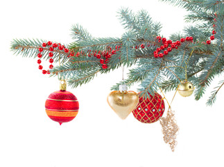 Canvas Print - red and gold christmas decorations   on fir tree