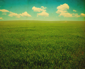 Wall Mural - green field