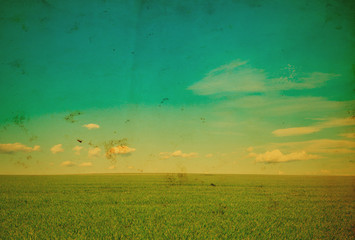Wall Mural - green field