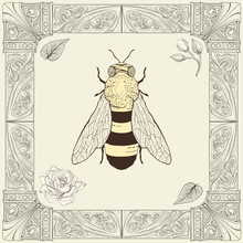 Bee And Rose Drawing