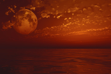 Wall Mural - full moon over sea