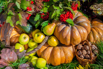  Autumn Harvest