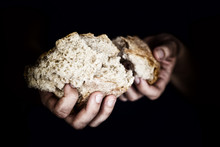 Woman's Hands Holding A Pieces Of Bread