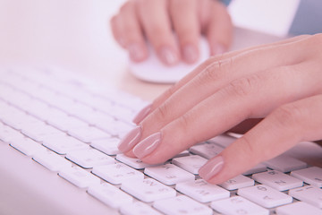 Wall Mural - Female hands typing on keyboard on light background