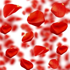 Poster - Falling rose petals close-up