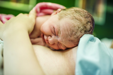 Wall Mural - Baby girl few minutes after the birth