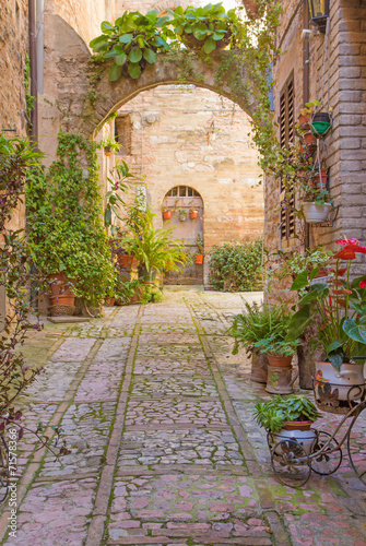 Nowoczesny obraz na płótnie Street with stone arch decorated with plants (Spello)