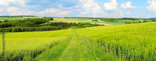 Foto-Schiebegardine Komplettsystem - grüne Frühlingslandschaft Panorama (von beatuerk)