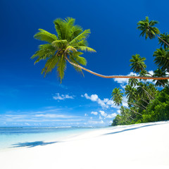 Sticker - Tropical Beach and Blue Sky Destination Scene