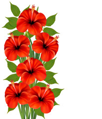 Poster - Background with a bunch of red flowers. Vector.
