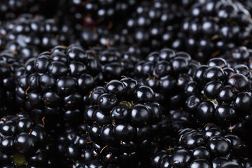 Wall Mural - ripe organic blackberries close up