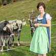 Woman in Dirndl with the cows