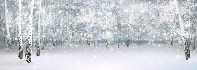 Wall Mural - vector winter snowy landscape, birch forest.