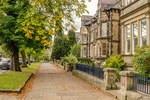 Pavement Lined With Trees And Old Houses In Autumn