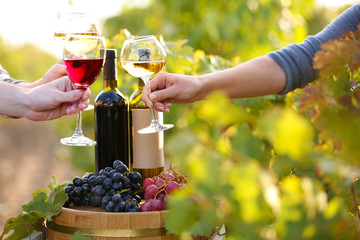 Sticker - Wineglass in hand on grape plantation background