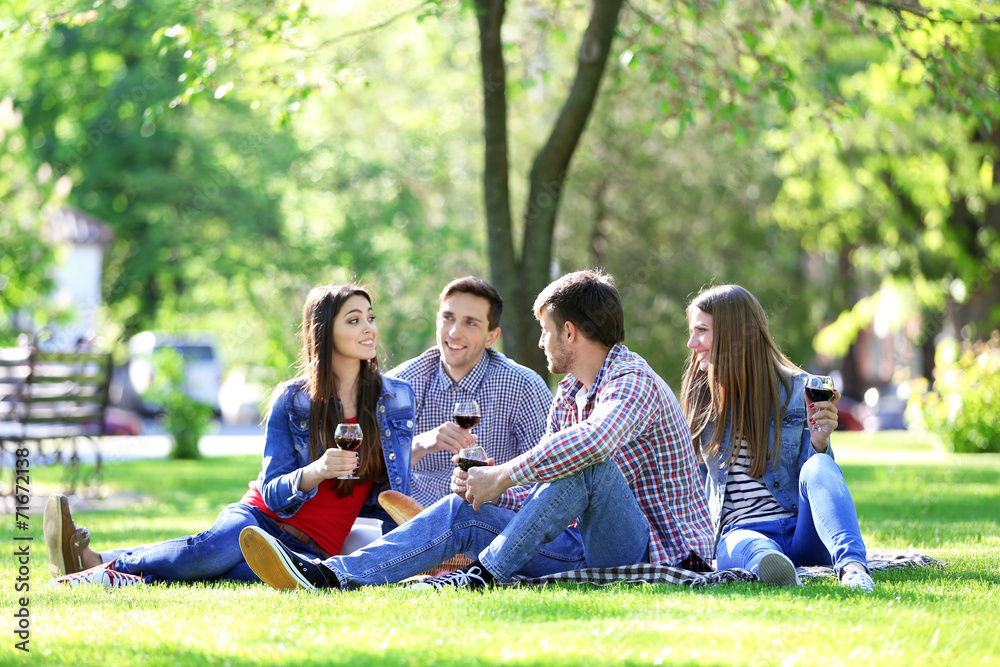 Happy friends on picnic in park