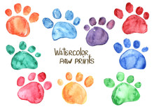 Set Of Watercolor Animal Footprints