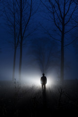 Wall Mural - awesome silhouette misty forest at dawn