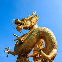 Wall Mural - Gold chinese dragon of thailand