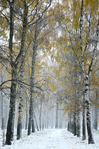 Fototapeta na wymiar Snowstorm in autumn city park