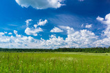 Fototapeta Tęcza - Fresh Landscape Scenic View