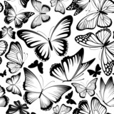 butterflies pattern vector