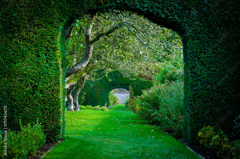 Green Plant Arches In English Countryside Garden Wall Mural | Wallpaper
