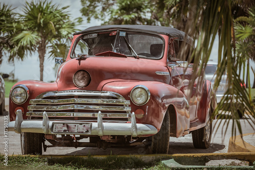 Naklejka na drzwi slassic retro, vintage car in Cuban tropical garden