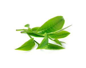 Poster - tea leaf isolated on white background