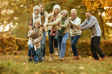 Poster - smiling family relaxing