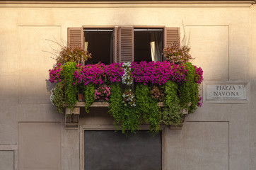 Balcony on piazza Navona