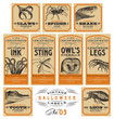 Funny vintage Halloween apothecary labels - set 03 (vector)