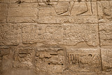 Fototapeta  - hieroglyphs on wall