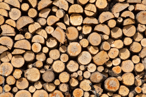 Obraz w ramie Stack of dried firewood of birch wood