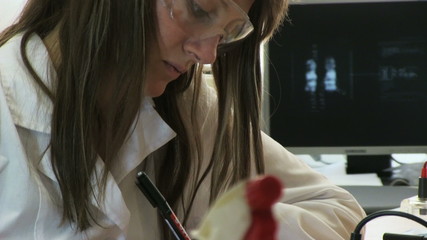 Canvas Print - Woman working in modern laboratory