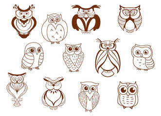 Wall Mural - Cute cartoon vector owl characters