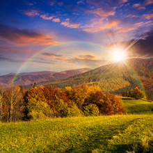 Trees On Autumn Meadow In Mountains At Sunset