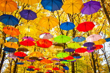 Autumn Umbrellas In The Sky